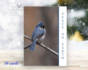 Christmas cards with original photography of a tufted titmouse and the greeting "Peace On Earth" available at www.covecreekphotography.com